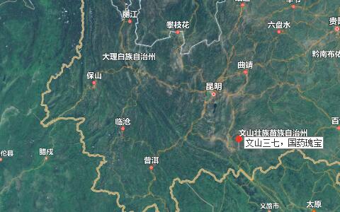 文山三七粉價格