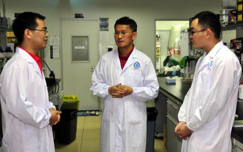 文山三七粉價格